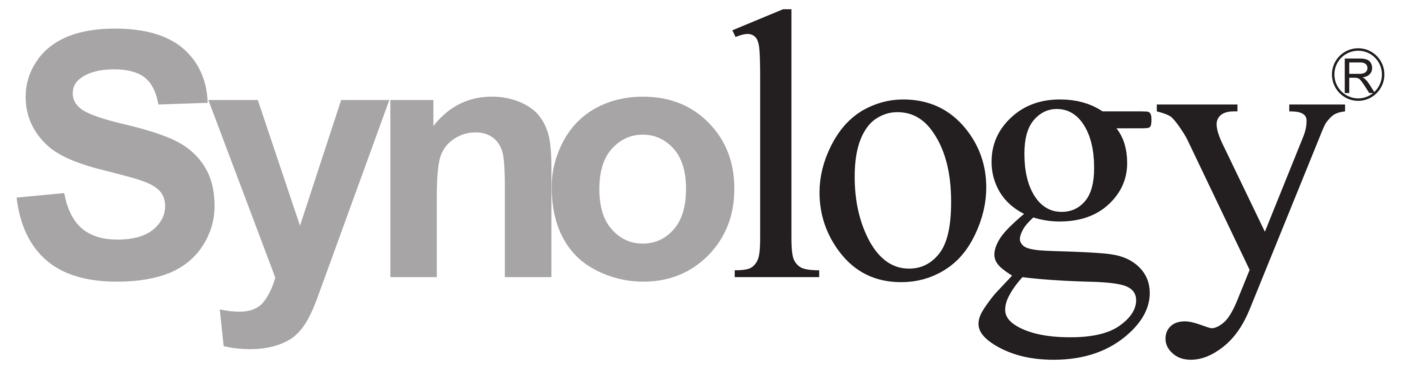 Synology Logo